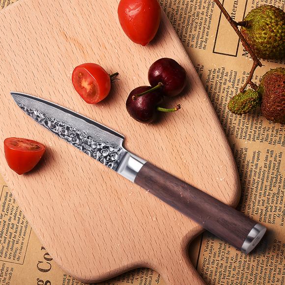 Damast Schälmesser - Damask Peeling Knife 9,3cm
